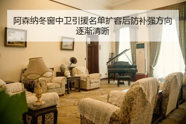 阿森纳冬窗中卫引援名单扩容后防补强方向逐渐清晰