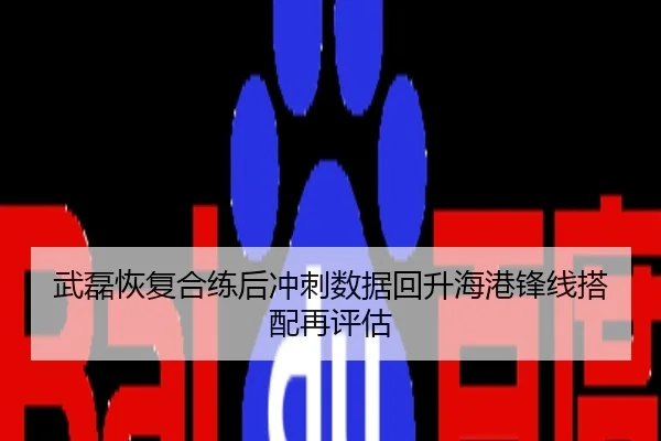 武磊恢复合练后冲刺数据回升海港锋线搭配再评估